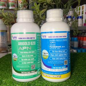 Giải pháp Phân bón chặn đọt hiệu ARIGOLD 620 và PACLO SỮA của apn