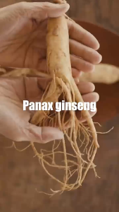 CrownCare Pewarna Rambut Hair Coloring Cream Alami Pewarna Rambut Ammonia Free & Anti Uban Warna Hitam & Coklat Gelap Aman & Tidak Berbahaya  Penghitam Rambut Herbal dengan Aroma Buah Hasil Natural & Tahan Lama