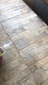 เจลกำจัดมด Pro Killer ขนาด 50กรัม ตายยกลัง ไม่กลับมากวนใจ