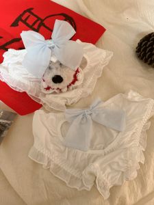 Sweet Butterfly Knot Hollow out mid Low Waist Girls Underwear Breathable Nylon Fabric Youth Pure Color Modale Fabric Home Clothes