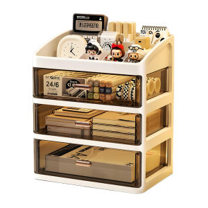 Multi-Level Desk Organizer for Students