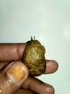 batu entung Wesi kuning