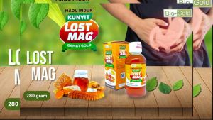 Madu Sehat Lambung Lostmag Untuk Obati Asam Lambung dan Maag 280gr