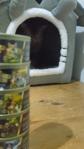 Supremacy Canned Soup Tuna and Goat Milk 85g Premium Wet Food Topper for Cats & Dogs Low Sodium 0.3% Daily Nutrition Formula Made with Fresh Ingredients Supports Hydration Appetite Boost Digestive Comfort Healthy Energy & Irresistible Taste All Breeds