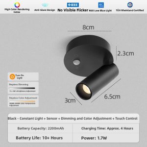 DENGFU | Motion Sensor Smart Hallway Entrance Light