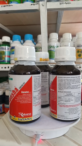 Ronsha 550EC Insektisida Ronsha (Klorpirifos 500 g/l +Sipermetrin 50 g/l) kemasan 400 ml
