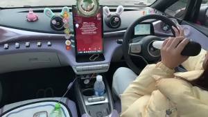 Byd atto3/seal/dolphin/sealion 6/sealion 7 microphone ไมค์ รถไมโครโฟนคาราโอเกะไร้สายแบบชาร์จไฟได้ ของแท้ accessories