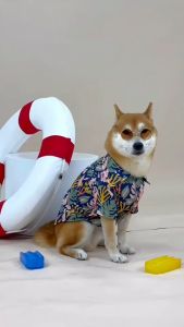 [สินค้าราคาพิเศษ] เสื้อหมาแมว คอลเลคชั่น Happy Paradise Hawaii ฮาวายสัตว์เลี้ยง | CLAWSET.BKK