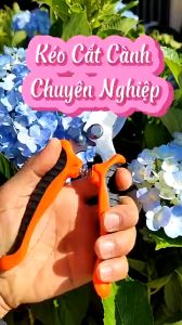 Kéo cắt tỉa cây cảnh kéo cắt cành kéo cắt cộng lực. thép không ri cưa tay