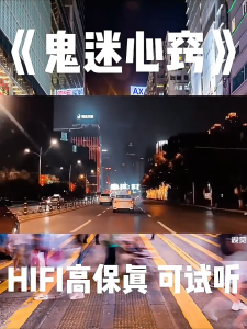 Kuai-华语歌曲流行+经典老歌 +热门 国语粤语WAV无损格式音乐 500G移动硬盘 万首歌曲 11000歌曲 Chinese songs pop old songs Mandarin Cantonese WAV lossless format music 11000 songs