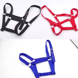 Dây Cương Ngựa Bằng Nylon Chuyên Nghiệp Có Thể Điều Chỉnh Dùng Cho Huấn Luyện Và Cưỡi Ngựa Ngoài Trời
