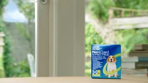 Nexgard Spectra and Nexgard 1 tab Anti Tick & Flea w/ Sticker Protection for you Dogs