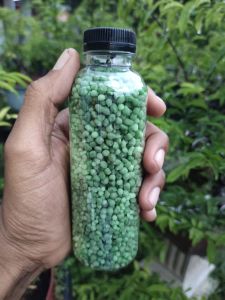 pupuk bonsai nutri top