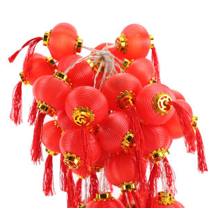 BEAUTY IN THE LIGHT | Chinese New Year Red Lantern Decoration