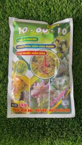 10-60-10+ TE - Siêu tạo mầm hoa- 1Kg