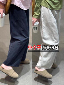 Casual Wide Leg Workwear Pants Womens Loose Fit High Waist Straight Leg Pants Autumn New Style Slimming Balloon Pants