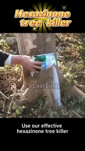 Effective weed control weed killer racun rumput racun rumput paling kuat Removing big trees and bamboo No need to add water Concentrated formula Harmless to humans 除草剂