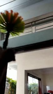 (CCN 5m) sào rút inoxChổi quét mạng nhện vệ sinh trần nhà đồ lau bụi trên cao làm cán vợt cá sào treo chim cọc mắc mànmóc cành câyphơi quần áo