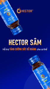 Nước Đông Trùng Hạ Thảo HECTOR Sâm Tăng Cường Sức Khỏe 1 Hộp