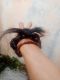 Denzan_Aksesoris 88