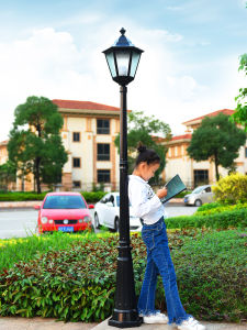 Waterproof Outdoor Solar LED Vintage Garden Light