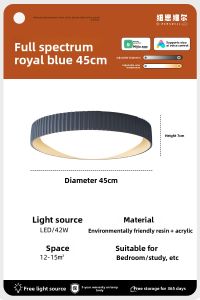 NSWR | Minimalist Retro Round Ceiling Light Full Spectrum Eye Protection French Style