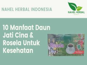 Teh Celup Bunga Rosella Plus Daun Jati Cina CelupTeh Jati CinaTeh Rosella