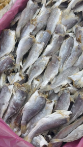【Ready Stock】Ikan Gelama Cabut Kepala Gred A-400g/1kg