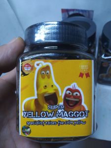 maggot kering super maggot 50gr