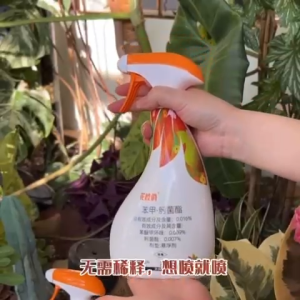千百季 花枝俏 花卉植物通用免稀释喷剂 Fungal Prevention Spray Black Spot Powdery Mildew Semburan Pencegahan Kulat 月季黑斑病白粉病护理专用