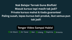 IM AQUATIC Bacillus Subtilis 500g x 3 Pack | Biofloc Aquaculture Probiotic RAS System Farming