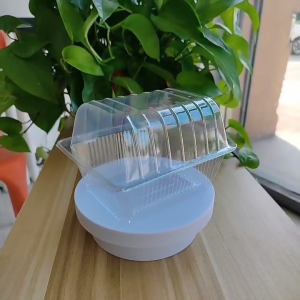 100pcs Once and for all Transparent Plastic Formed Baking Cake Box Pastry Packaging Container Food Pastries Takeout Box