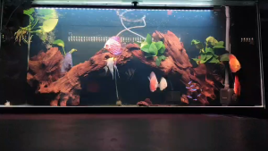 Aquarium Background Black Vinyl Black White Blue Red Green Fit for Fish Tanks Scenes with Plants and Rocks
