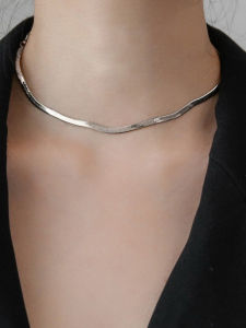 Non-Fading Silver Snake Bone Necklace Womens Summer Lockbone Chain Minimalist Luxury Design Titanium Steel Fashion Jewelry