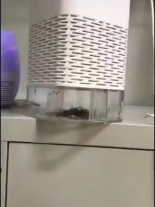 New Electric Mosquito Killer Lamp USB-Powered Bug Zapper for Home Indoor Outdoor