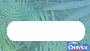 Chrysal Leaf Shine: 250ml, 600ml, 750ml - คริสซอล สเปรย์ฉีดใบเงา ฉีดใบมัน เคลือบเงาใบไม้ - ขนาด 250 มล, 600 มล, 750 มล