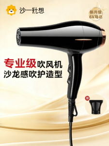 High Power Hair Dryer Professional Salon Use Large Airflow Quick Dry Negative Ion Protection for All Hair Types Early Fish V10