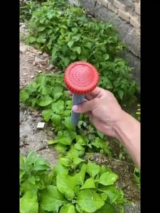 Alat Siram Tanaman Shower & Lubang Halus: 1Pc x Penyiram Tanaman Kaktus