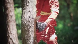 สินค้าใหม่ เลื่อยไฟฟ้า 12 นิ้ว เลื่อยไฟฟ้าแบต 2000W เลื่อยโซ่แบตเตอรี่ อายุแบตเตอรี่ยาว ใช้งานได้นาน ตัดแบบพกพา