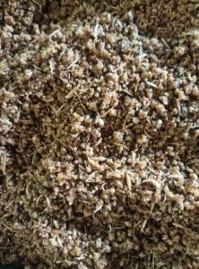 BERAS UMBI / BERAS TIWUL / BERAS UMBI INSTAN / BERAS TIWUL INSTAN