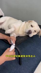 High Power Bass Led Light Professional Pet Electric Nail Grinder Dog Cat Nail Clippers Animal Trimmer Pet Paw Grooming Care Tool