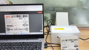 ชั้นวางกระดาษ Shelf Paper | ผู้เข้าชมเพื่อน ชนิด WJ0052 | พับ และม้วน | ใช้เครื่องปริ้นความร้อนทุกชนิด