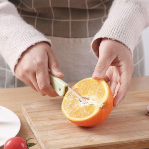 Biblio【Ready in Stock】 Stainless Steel Folding Fruit Knife Portable Kitchen Tool Peeling Knife