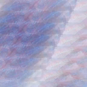 Msk3 Seagull slipper for adult (tusok tusok) Foot massage slipper