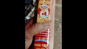 [Hàng chuẩn - 1 bó] Nhang thơm cao cấp Tài Lộc THÀNH TÂM bó lục giác 271 cây 29cm (3 tấc)