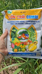 LỚN TRÁI COMBI GÓI 1KG. TRÁI BÓNG CHẮC NẶNG - TĂNG NĂNG SUẤT - TRÁI LỚN NHANH - LÊN MÀU ĐẸP.
