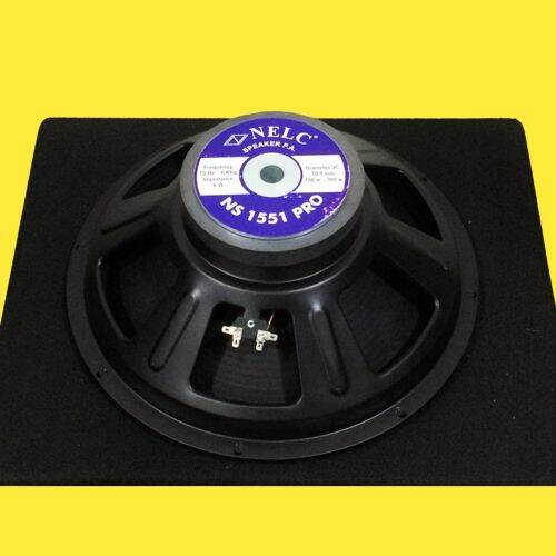 300 watt speaker 15 hot sale inch