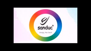 Sanduc Getah SR Original Selipar 8 Warna Selipar Lelaki