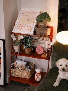 OYIla | Freestanding Corner Shelf Dopamine Red