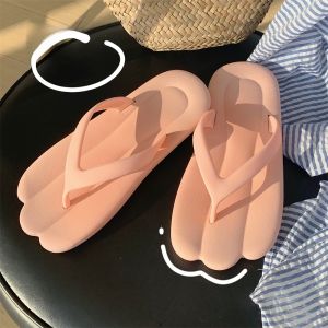 Adorable Flat Sandals Womens Beachwear Anti-slip Soft Bottom Clogs Korean Style Low Heel PVC Material Daily Wear